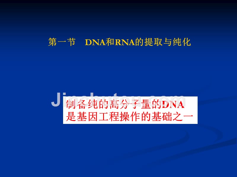 DNA和RNA的提取与纯化幻灯片_第2页