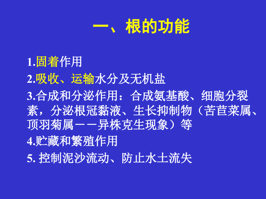 种子植物营养器官幻灯片_第3页