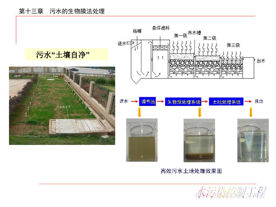 生物膜法幻灯片_第2页