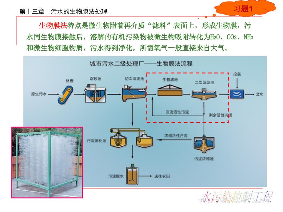 生物膜法幻灯片_第4页