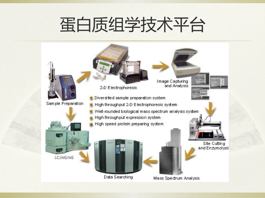 质谱技术与质谱仪2幻灯片_第2页