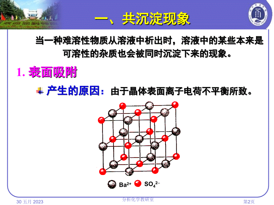 影响沉淀纯度的因素幻灯片_第2页