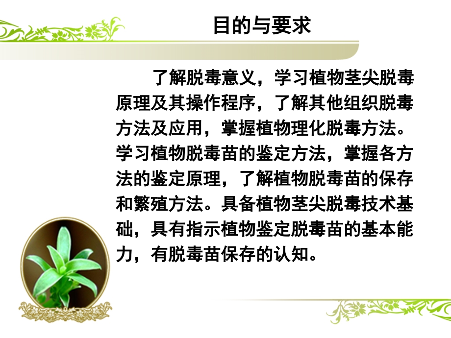 植物脱毒技术幻灯片_第2页