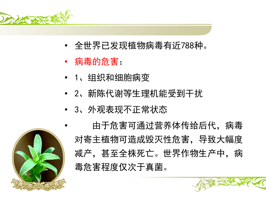 植物脱毒技术幻灯片_第3页