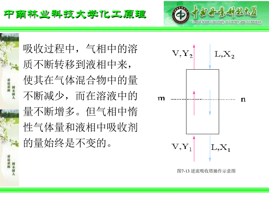 吸收塔的计算幻灯片_第3页