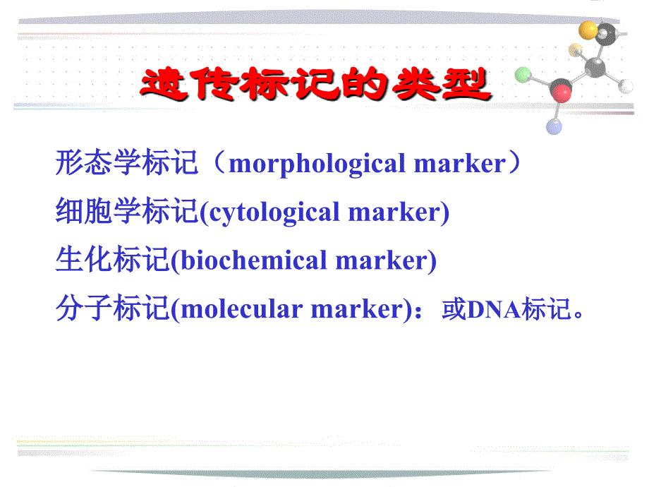 遗传标记1幻灯片_第4页