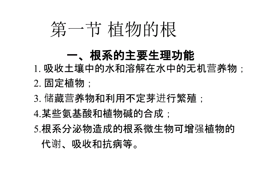 植物的营养器官幻灯片_第3页