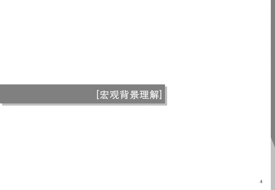 奇正机构2011年05月泰州姜堰北大街商业调研定位报告_第4页