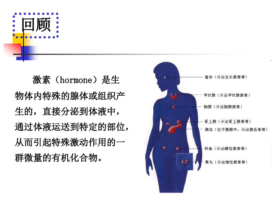 甾体激素类药物的分析幻灯片_第3页