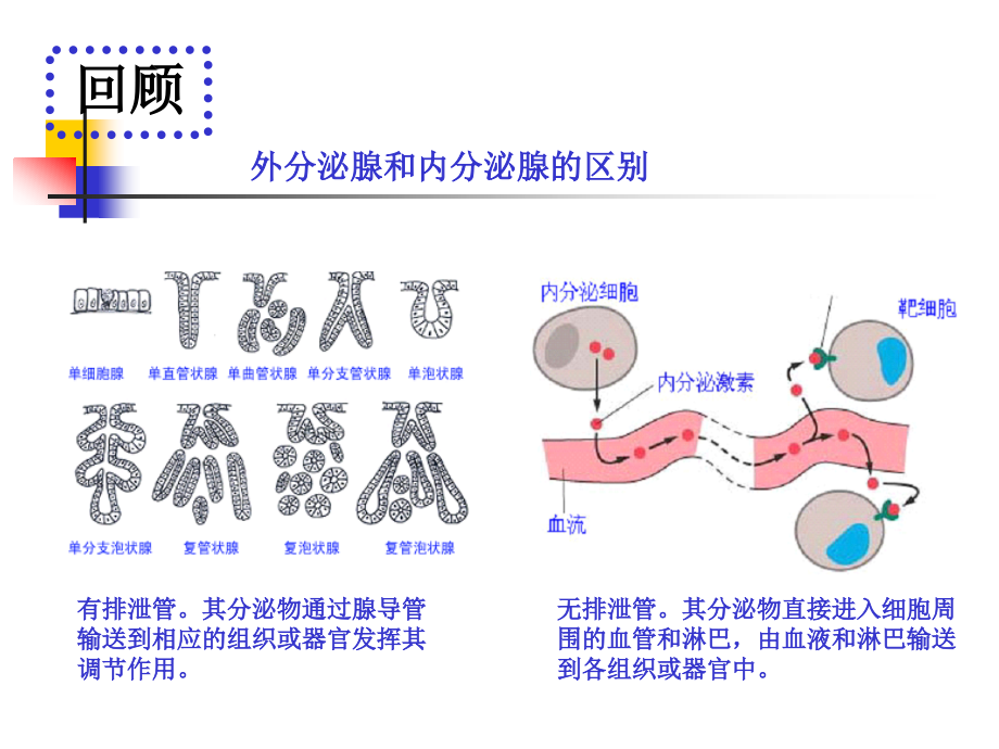 甾体激素类药物的分析幻灯片_第4页