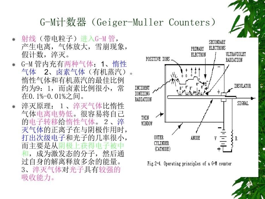 分放射性核素的探测幻灯片_第5页