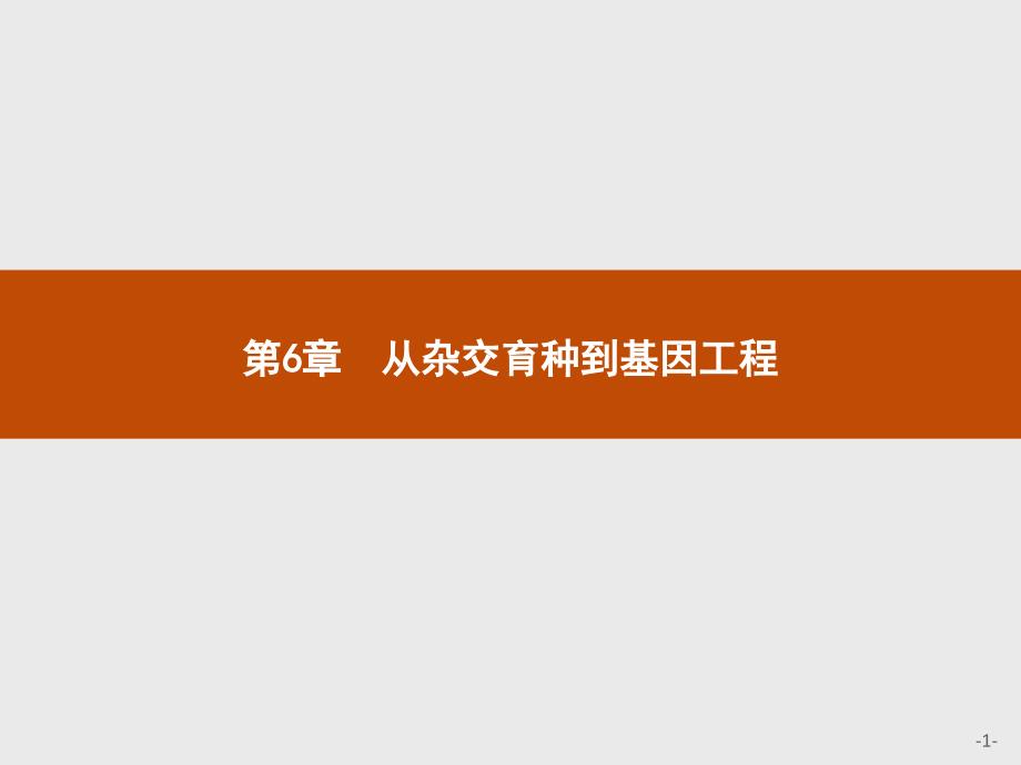 【课堂设计】2015-2016学年高一生物人教版必修2课件：6.2 基因工程及其应用 _第1页