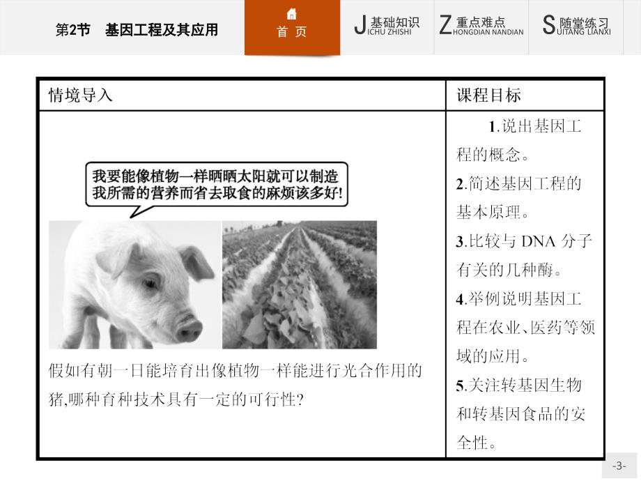 【课堂设计】2015-2016学年高一生物人教版必修2课件：6.2 基因工程及其应用 _第3页