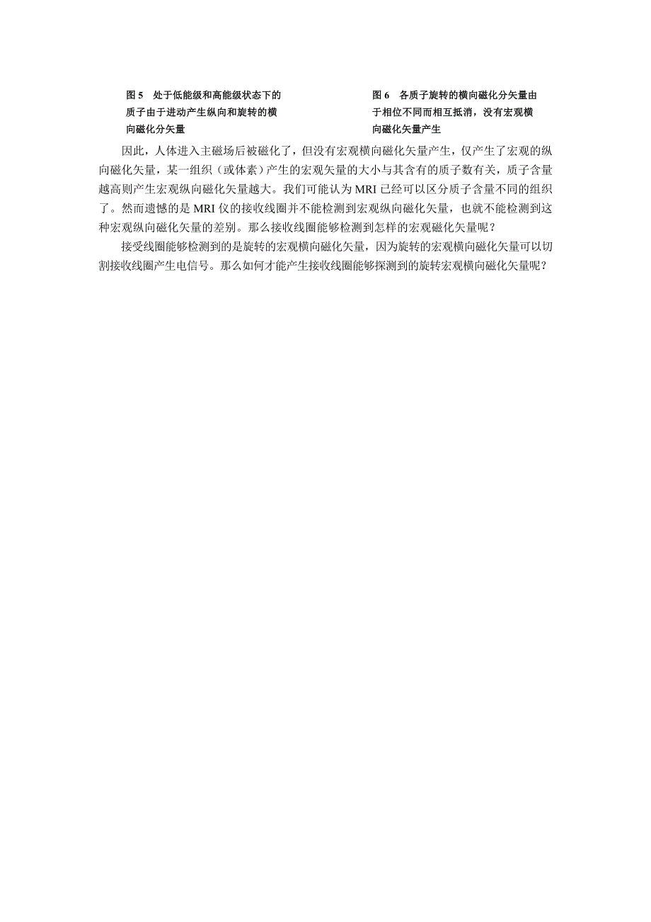 【2017年整理】第三节  进入主磁场前后人体内质子核磁_第3页