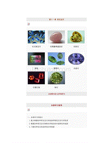 【2017年整理】地大宝石学 第十一章