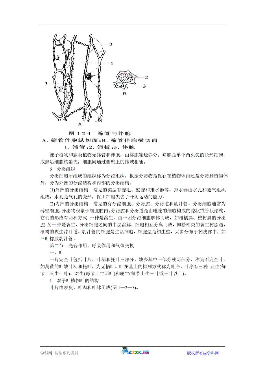 【2017年整理】第二章 植物解剖和生理_第3页