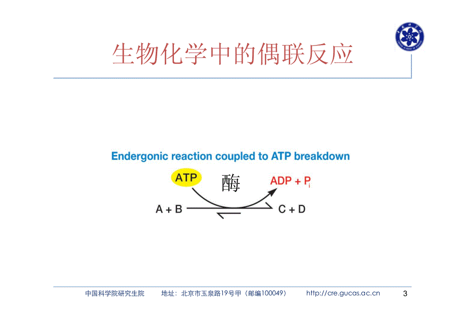 环境微生物 第八章_第3页