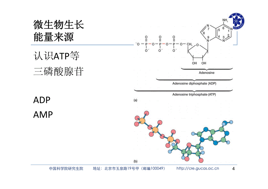 环境微生物 第八章_第4页