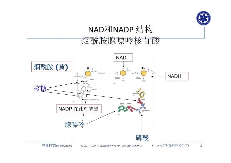 环境微生物 第八章_第5页