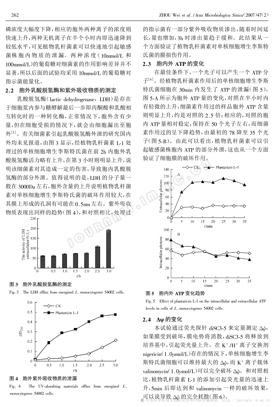 植物乳杆菌素L-1对单核细胞增生李斯特氏菌作用机理的研究_第3页