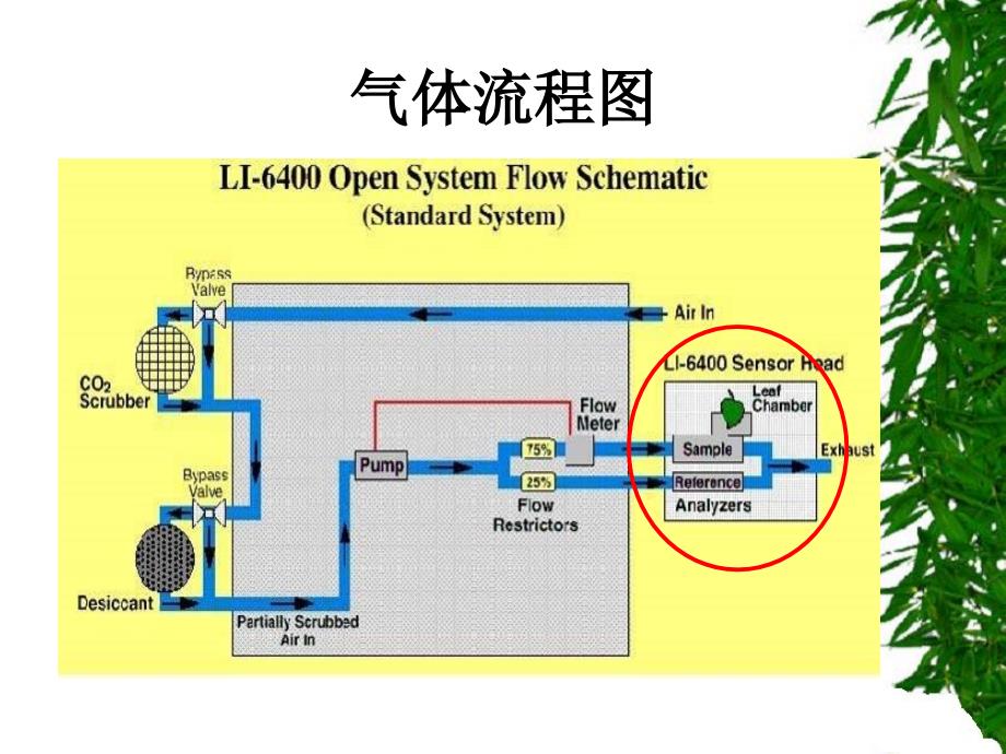 LI - 6400光合仪在科研中的应用_第3页