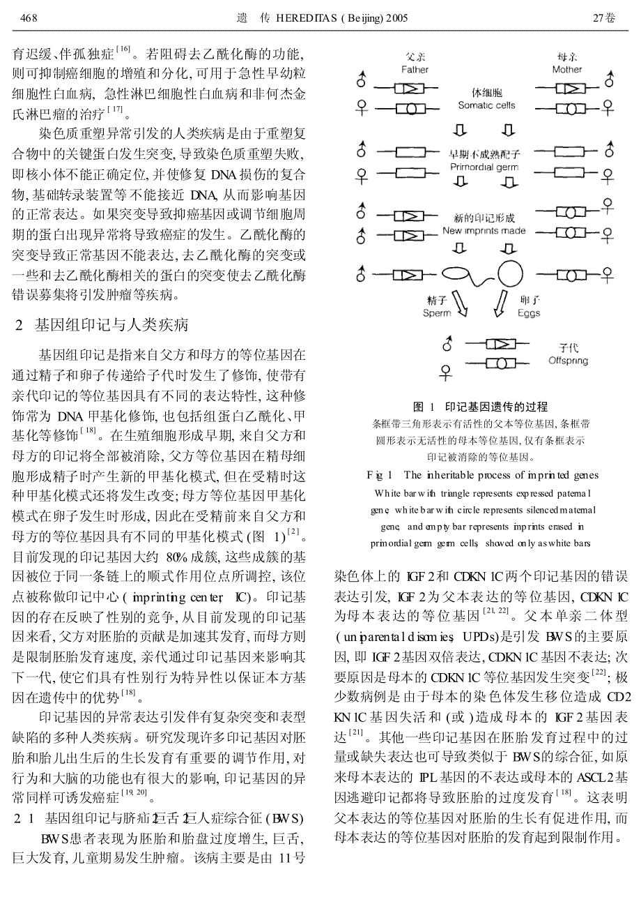 表观遗传学与人类疾病的研究进展_第3页