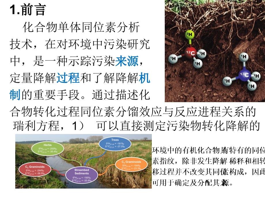 化合物专一性同位素分析应用中的计量原理_第2页