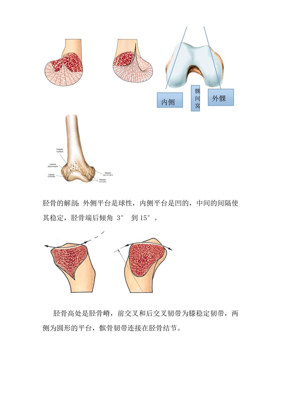 膝关接脍与影像学分析_第2页