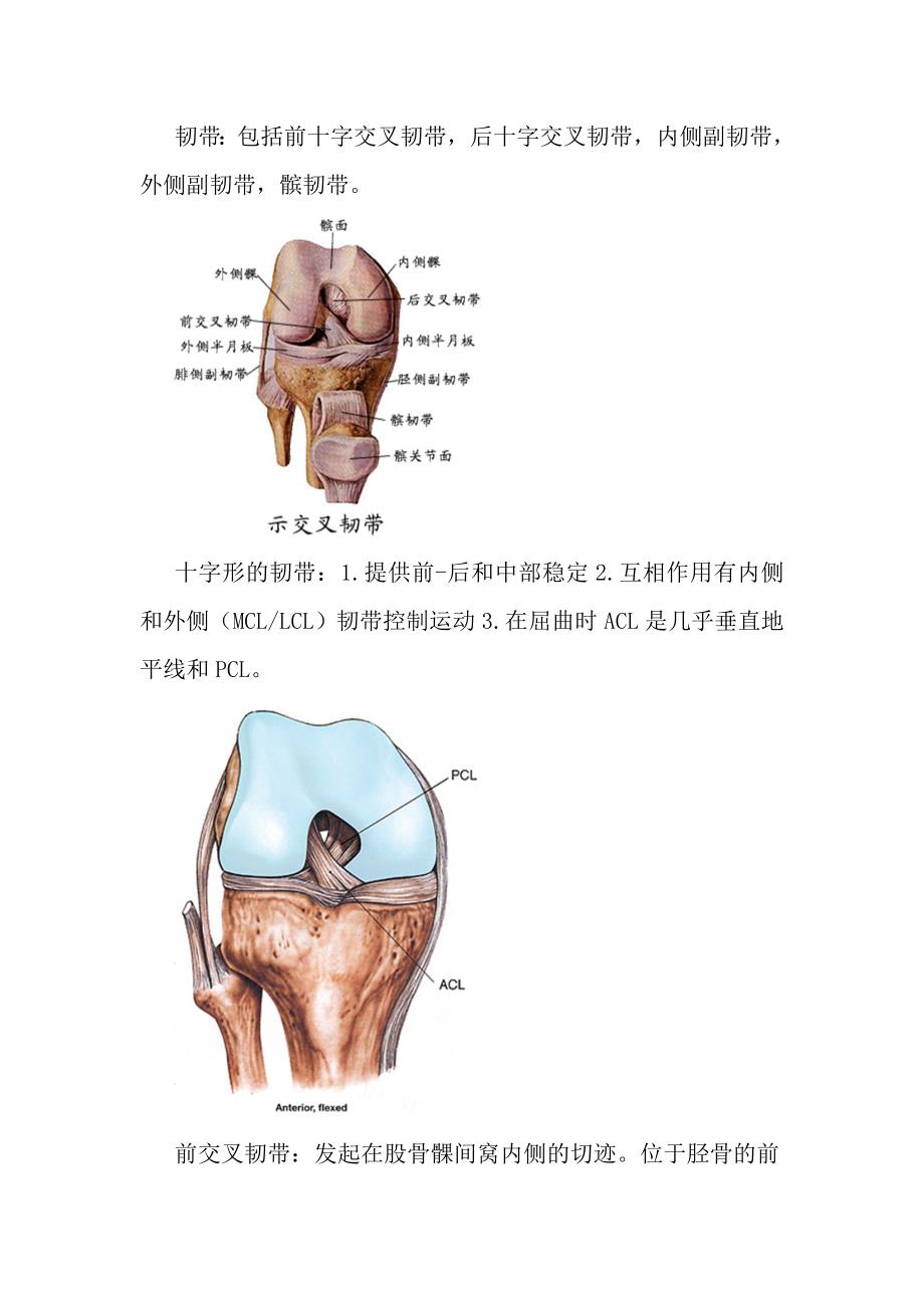 膝关接脍与影像学分析_第4页