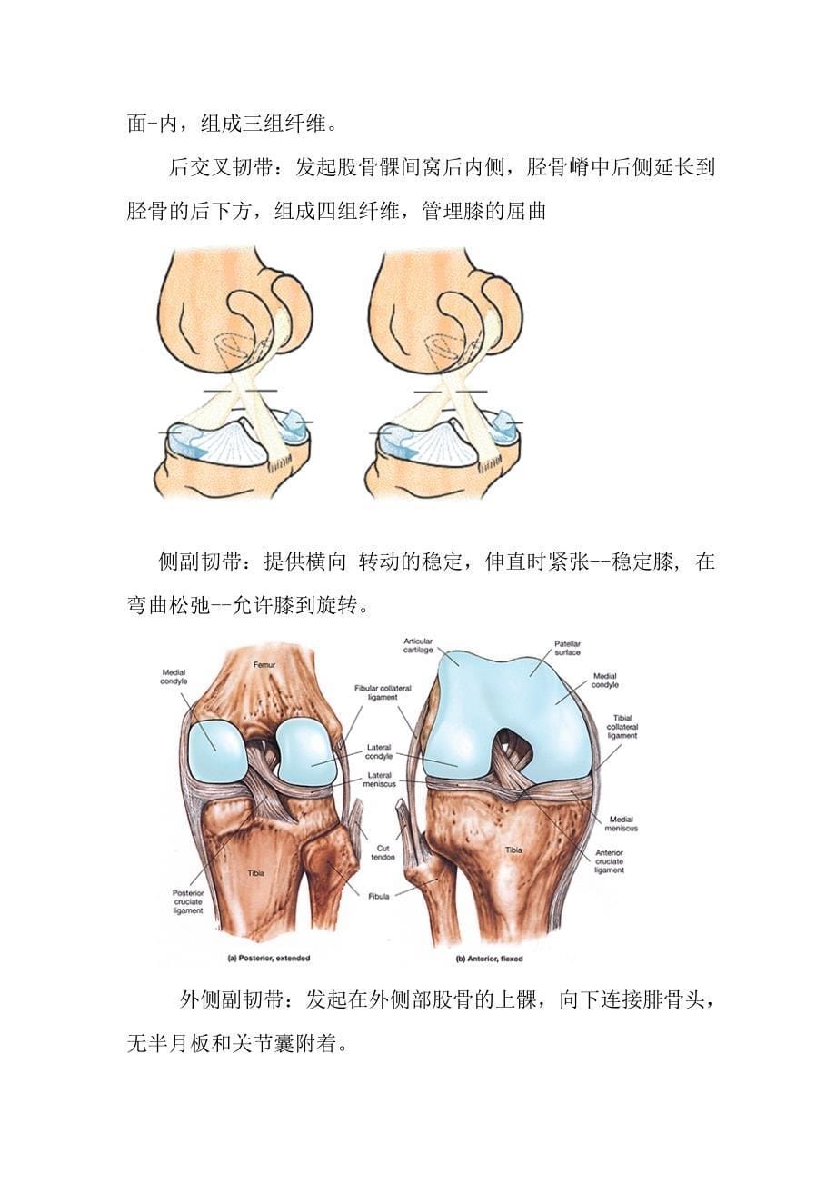 膝关接脍与影像学分析_第5页