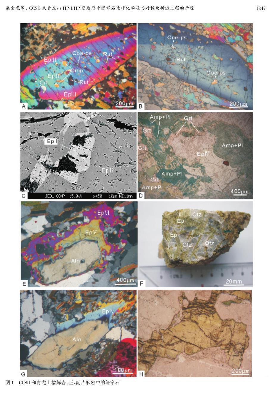 CCSD及青龙山HP-UHP变质岩中绿帘石地球化学及其对板块折返过程的示踪_第3页
