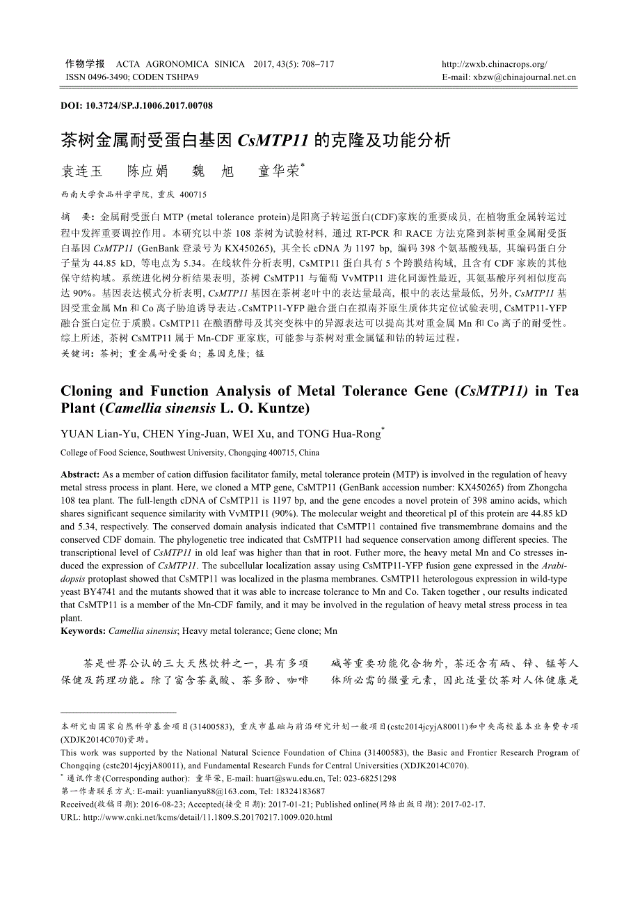 茶树金属耐受蛋白基因CsMTP11的克隆及功能分析_第1页