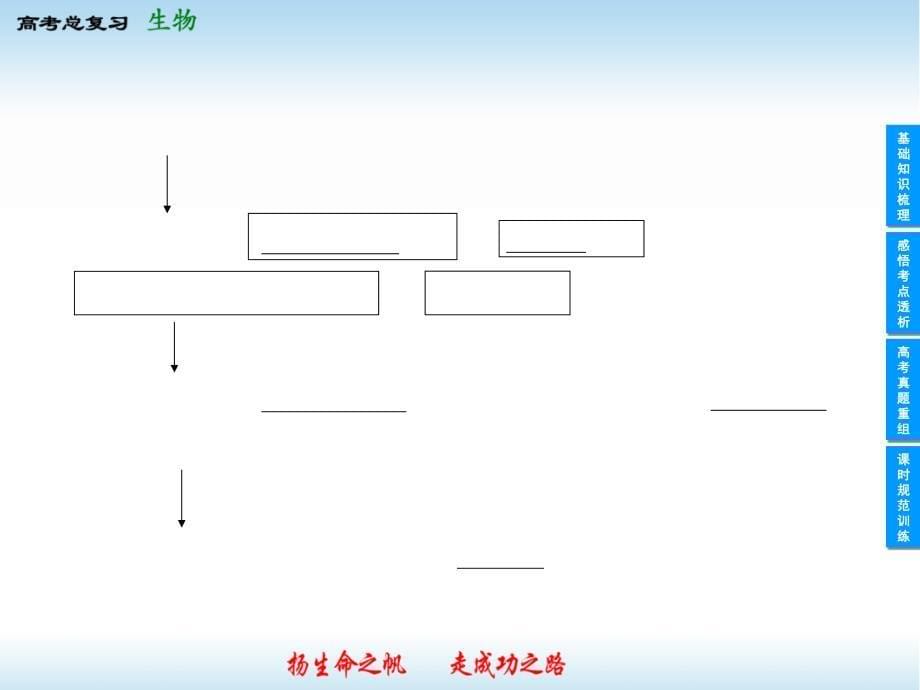 2013赣脒与中生物一轮复习课件(人教版)X1-4.6_第5页