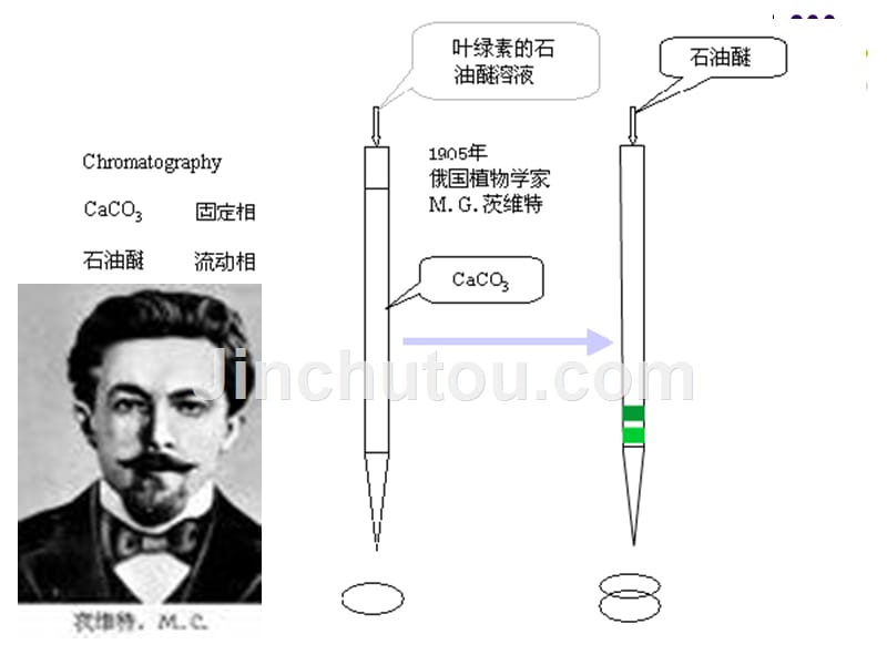 【PPT课件】四层析(1)_第3页