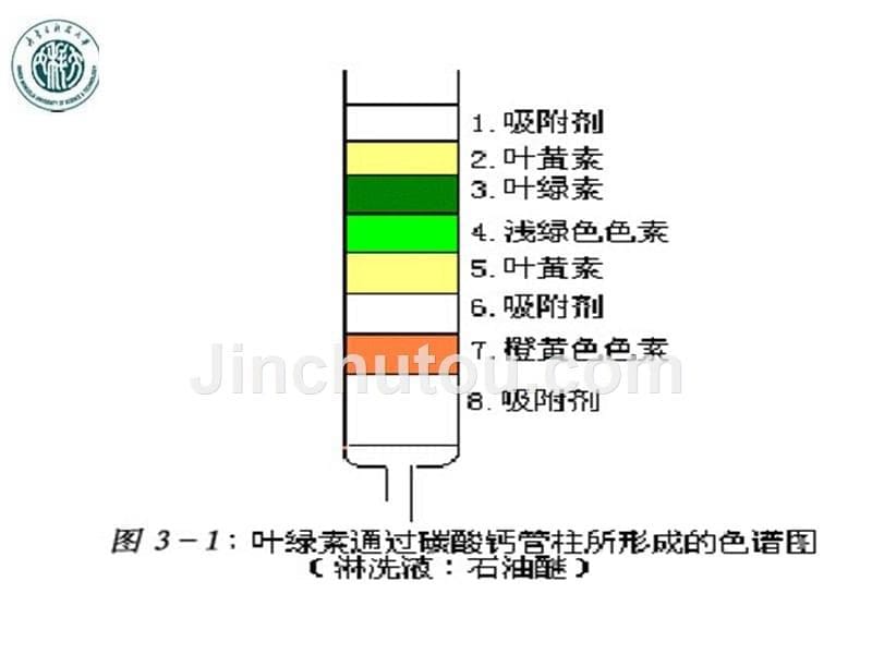 【PPT课件】四层析(1)_第5页