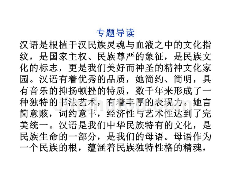 专题一汉语的经济性和艺术性_第3页