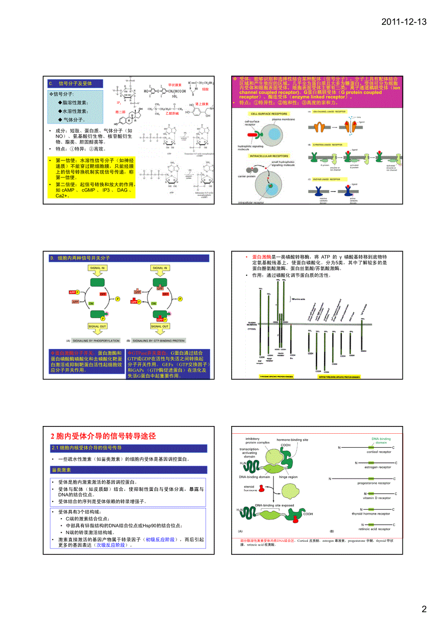 细胞信号转导-讲义_第2页