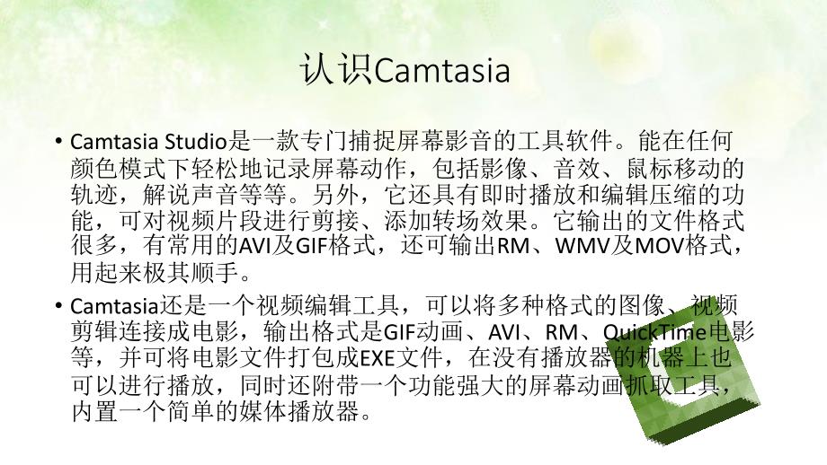 【2017年整理】Camtasia功能介绍_第2页