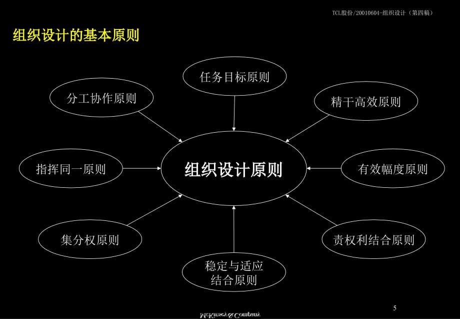 2003年1月TCL股份有限公司管理整合咨询之组织设计方案报告-麦肯锡_第5页