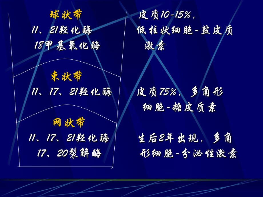 先天性肾上腺皮质增生症教学-浙江大学儿童医院内分泌科_第4页