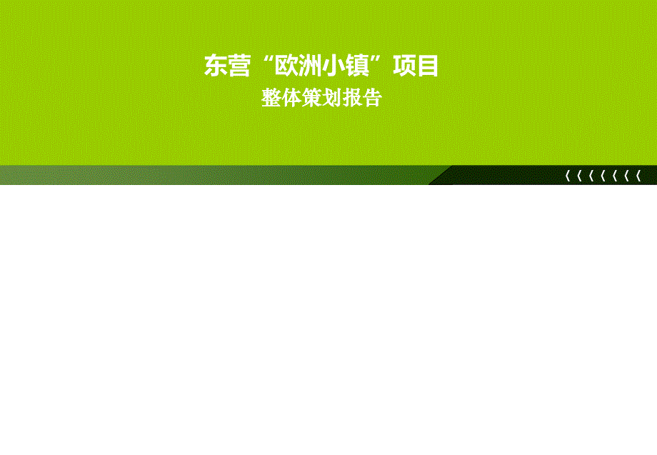 2011年东营欧洲小镇项目整体策划报告_第1页