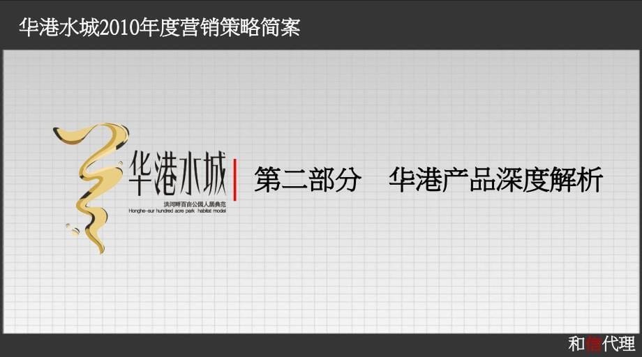 2010年驻马店市华港水城营销策略简案-和信代理_第5页