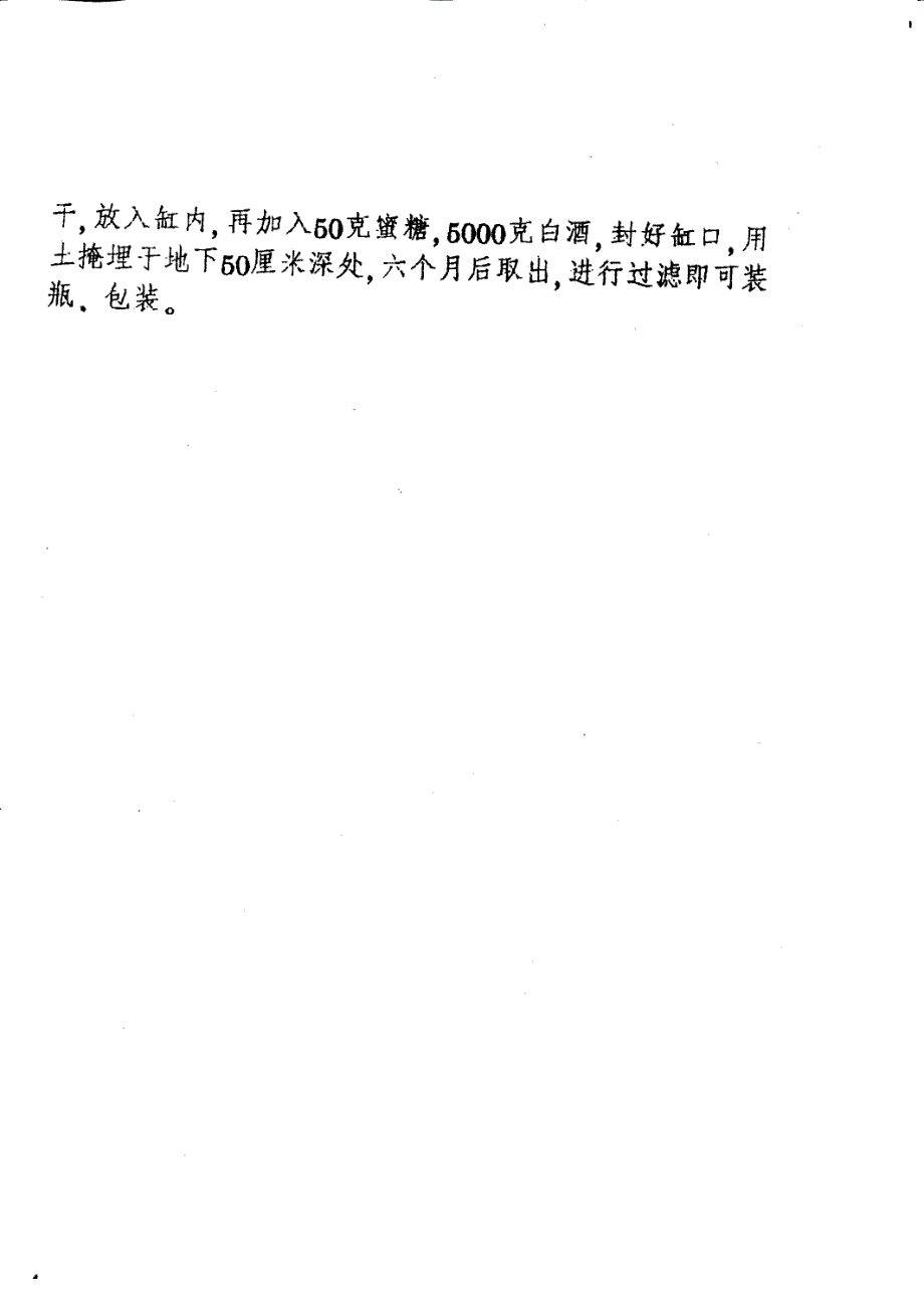 CN95110675.9A 一种大蒜保健酒及其制造方法 1-4_第4页