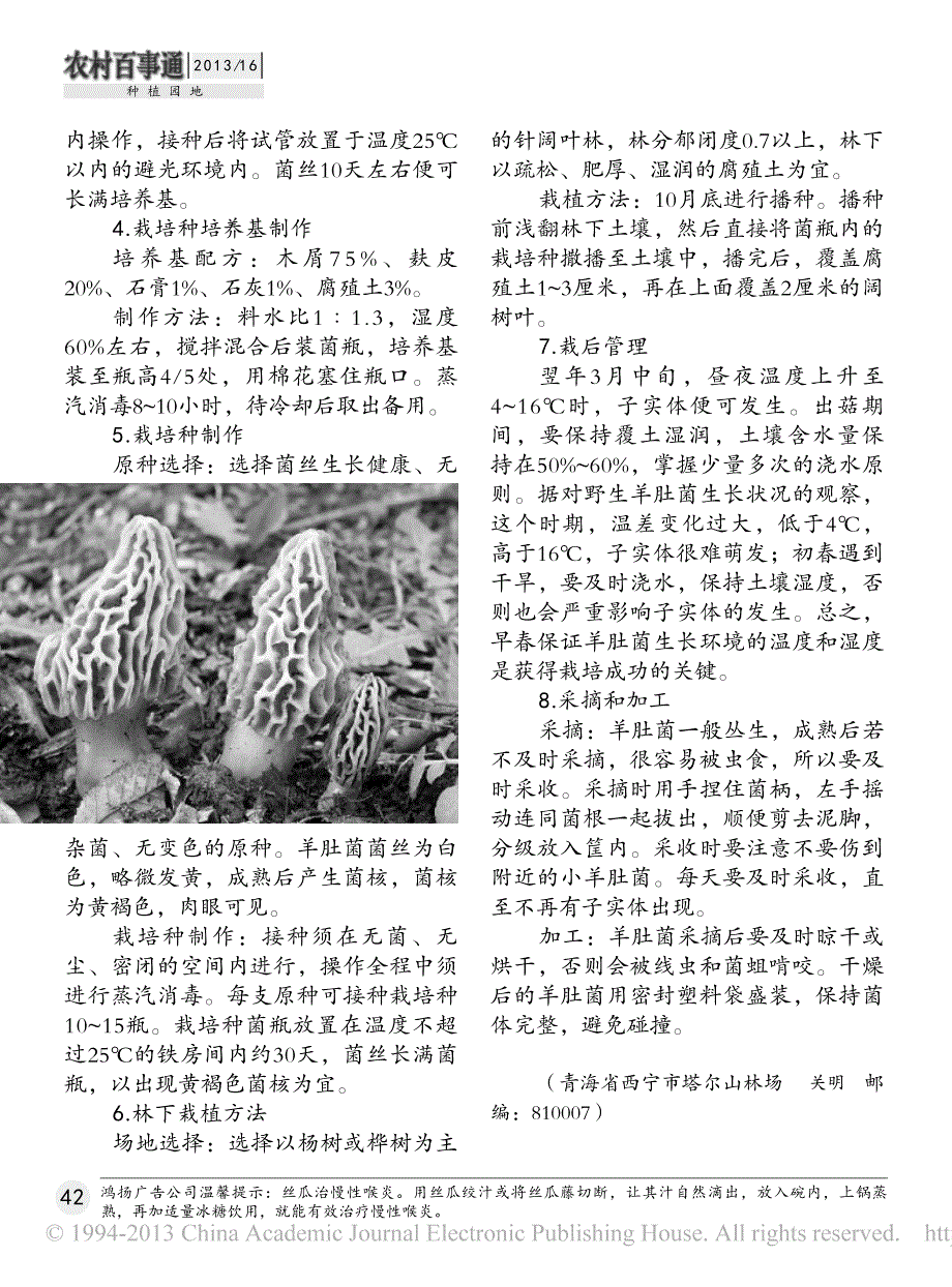 林下羊肚菌人工栽培技术_第2页