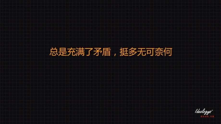 2012年1月深圳中航·天逸项目避开直接利益承诺的价值提升计划方案_第5页