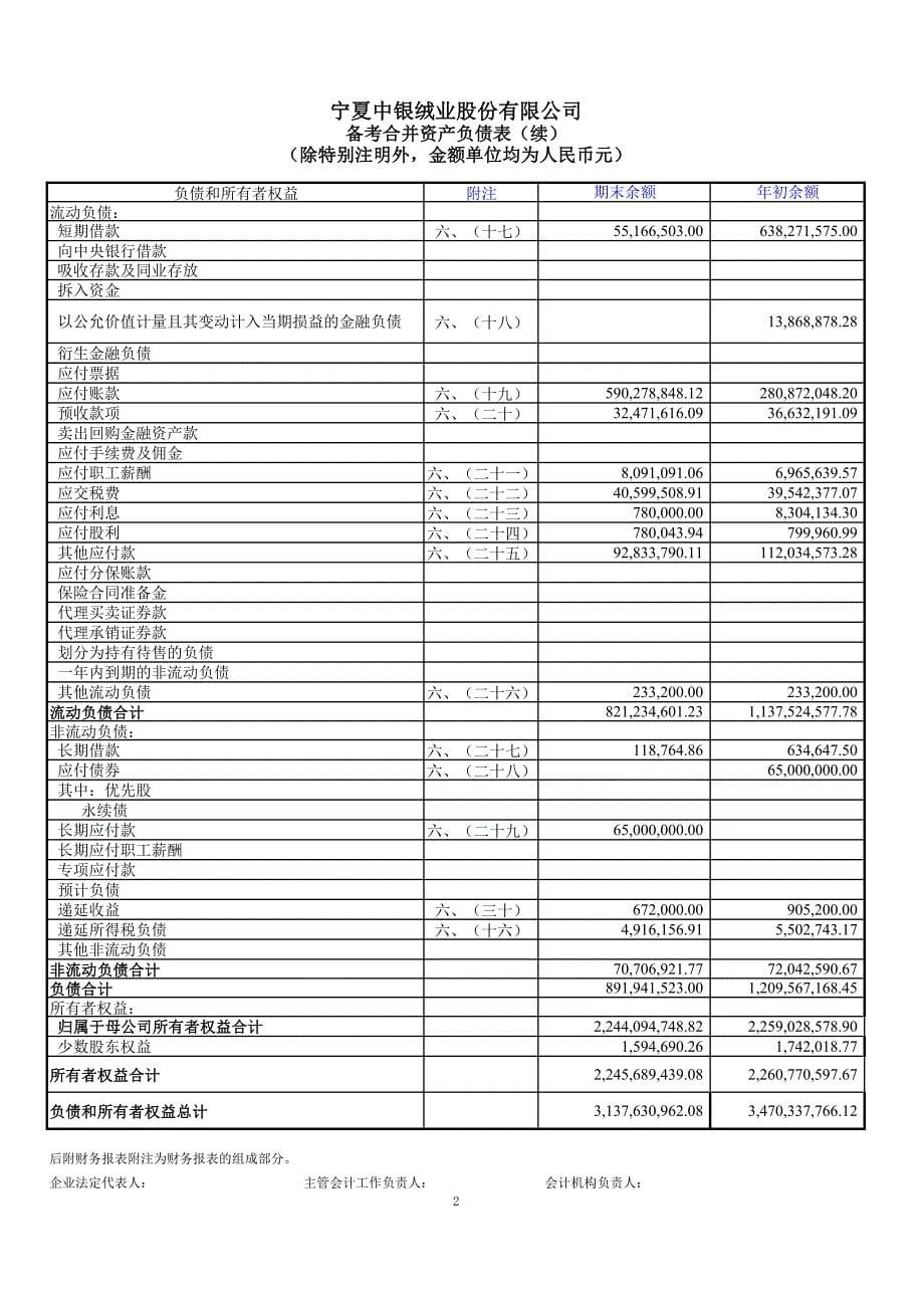 ST中绒重大资产重组备考审阅报告_第5页