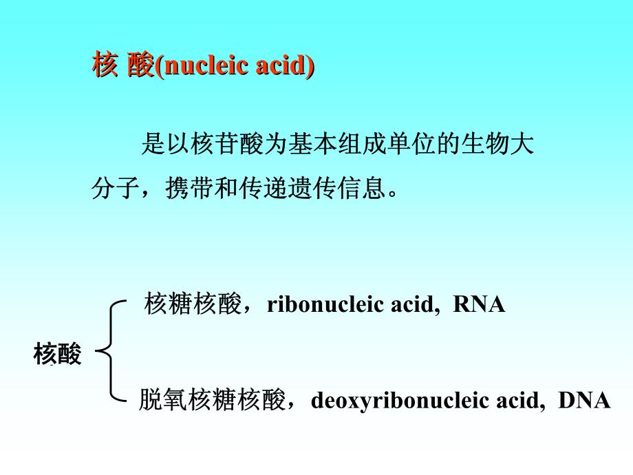 生理学 核酸_第2页