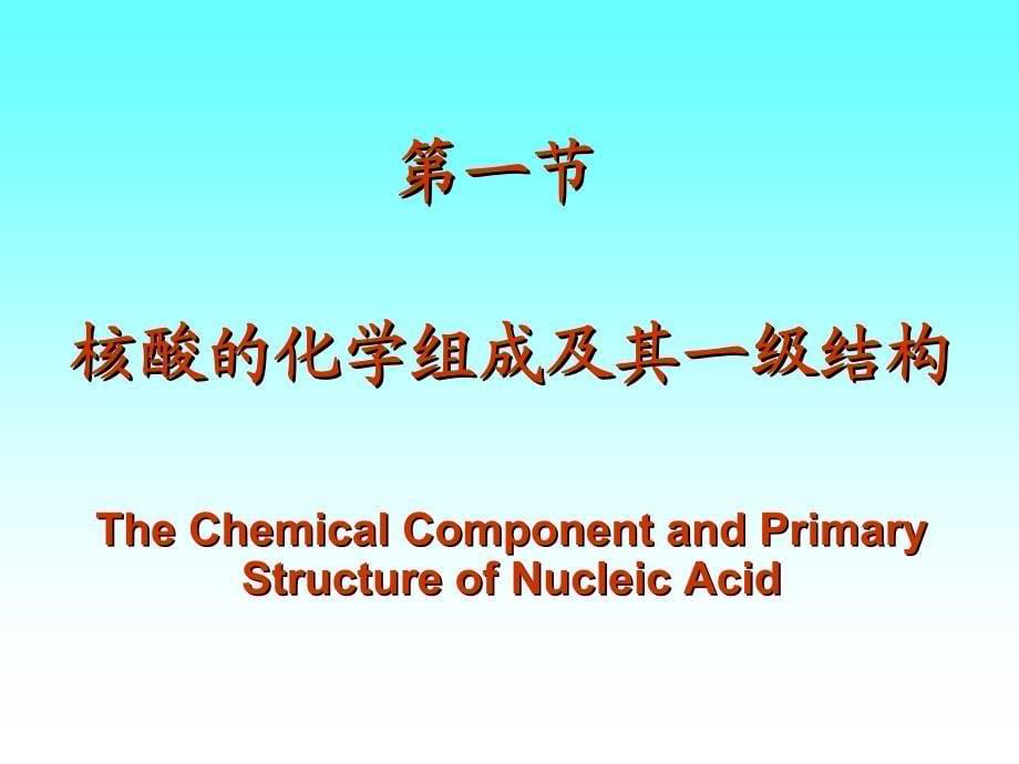 生理学 核酸_第5页