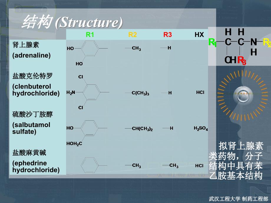 苯乙胺类拟肾上腺素药物的分析_第3页