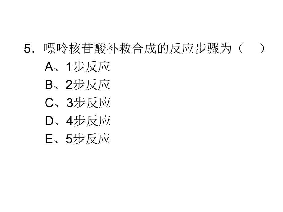 核苷酸的代谢_第5页